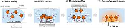 Evaluation of Analytical Performances of Magnetic Force-Assisted Electrochemical Sandwich Immunoassay for the Quantification of Carcinoembryonic Antigen